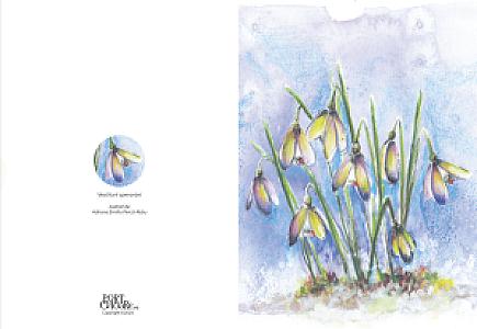 Vestitorii speranței