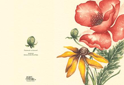 Împreună, cu bucurie